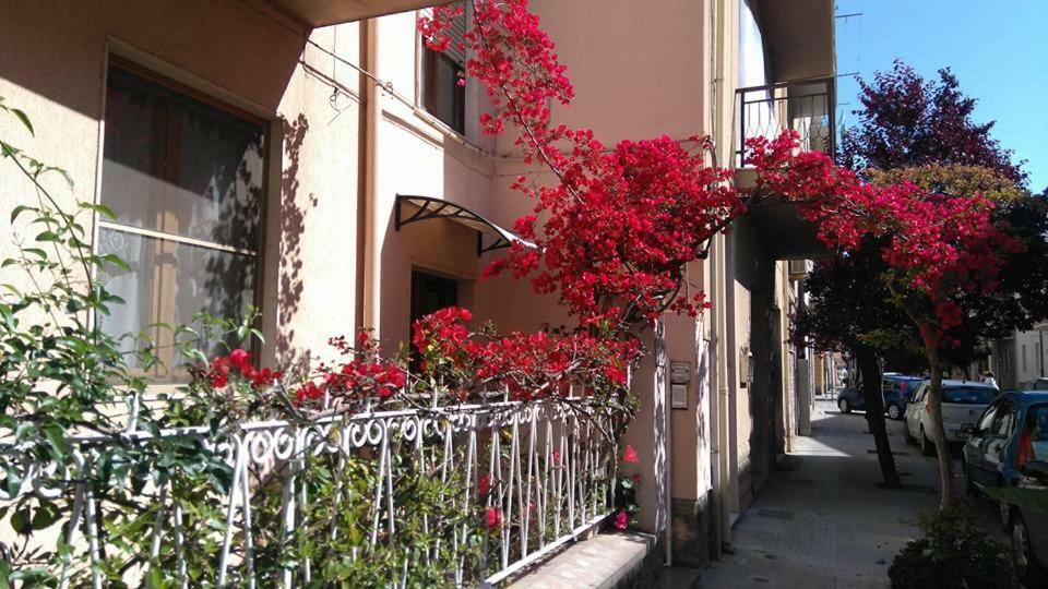 Bed And Breakfast Hibiscus Alghero Ngoại thất bức ảnh